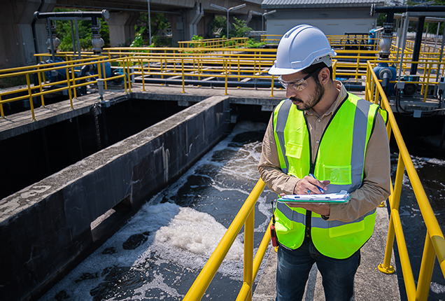 PFT_www_branze_grafika_miniatura_01