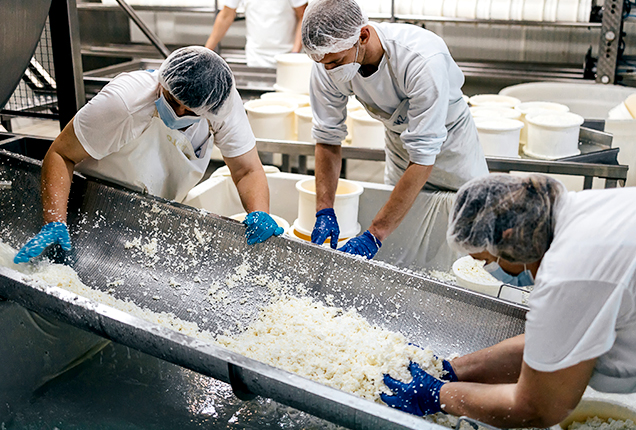 PFT_www_branze_grafika_miniatura_02