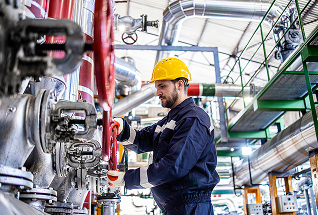 PFT_www_branze_grafika_miniatura_03